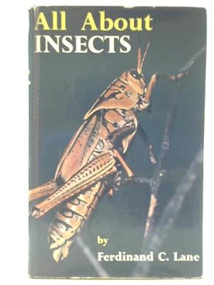 Seller image for All About Insects for sale by World of Rare Books