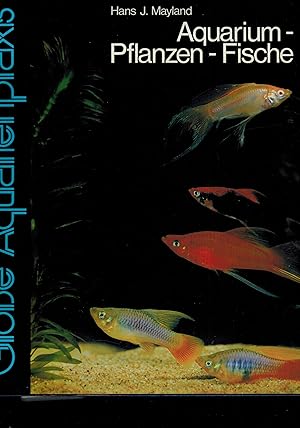 Aquarium - Pflanzen - Fische