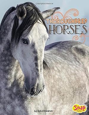 Immagine del venditore per Thoroughbred Horses (Horse Breeds) by Diedrich, John [Paperback ] venduto da booksXpress