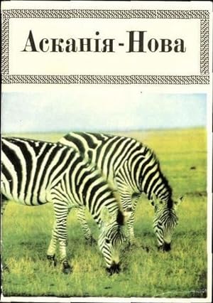 9 alte Ansichtskarte / Postkarte Tiere Zebras, diverse Ansichten
