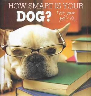 How Smart is Your Dog? Test Your Pet's IQ