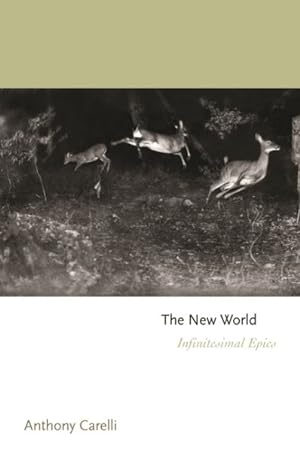 Imagen del vendedor de New World : Infinitesimal Epics a la venta por GreatBookPrices