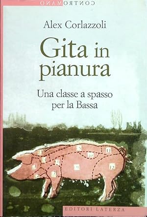 Bild des Verkufers fr Gita in pianura. Una classe a spasso per la Bassa zum Verkauf von Librodifaccia