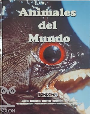 Animales del Mundo - 1 - Peces