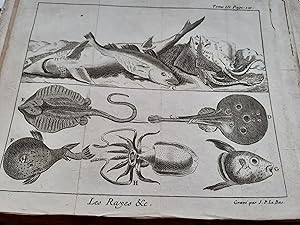 7 gravures sur le thême de la mer