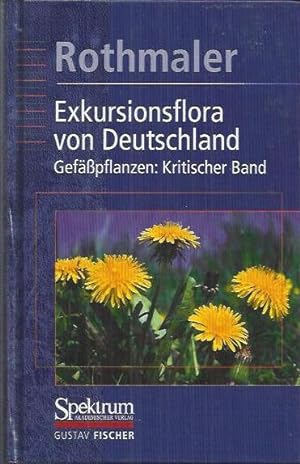 Bild des Verkufers fr Exkursionsflora von Deutschland, 4 Bde. : Bd.4, Gefpflanzen, Kritischer Band zum Verkauf von bcher-stapel