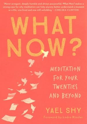 Bild des Verkufers fr What Now? : Meditation for Your Twenties and Beyond zum Verkauf von GreatBookPrices