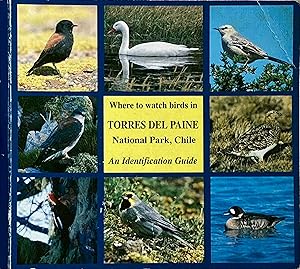 Where to watch birds in Torres del Paine National Park, Chile: An identification guide