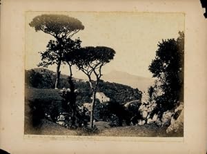 Foto um 1880, Massa Lubrense Sorrento Campania, Blick auf Capri von Sorrent