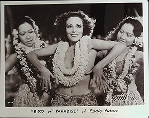 Imagen del vendedor de Bird of Paradise 8 X 10 Still 1932 Dolores Del Rio, Joel McCrea a la venta por AcornBooksNH