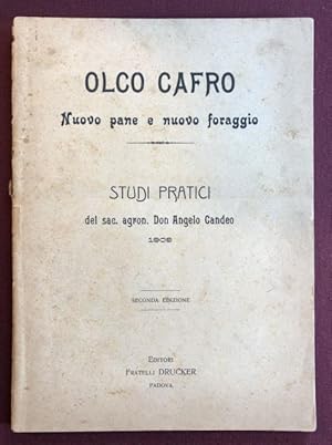 Olco Cafro. Nuovo pane e nuovo foraggio - Studi pratici del sac. agron. Don Angelo Candeo.