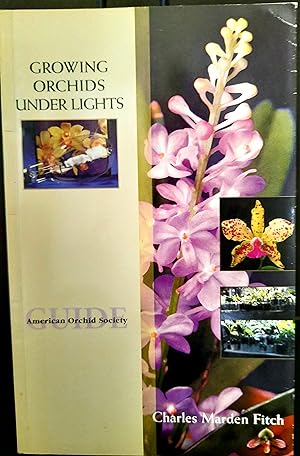 Growing Orchids Under Lights