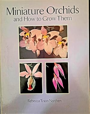 Miniature Orchids and How to Grow Them