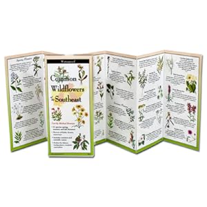 Seller image for Common Wildflowers of the Southeast (Bookbook - Detail Unspecified) for sale by BargainBookStores