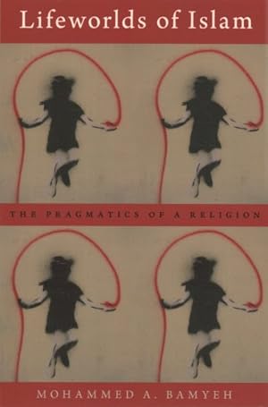 Immagine del venditore per Lifeworlds of Islam : The Pragmatics of a Religion venduto da GreatBookPrices