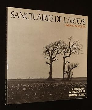 Imagen del vendedor de Sanctuaires de l'Artois : Visions insolites a la venta por Abraxas-libris