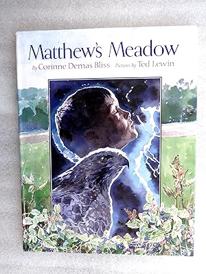 Seller image for Matthew's Meadow for sale by crossborderbooks