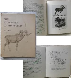 Bild des Verkufers fr THE WILD SHEEP OF THE WORLD zum Verkauf von Librera Maestro Gozalbo