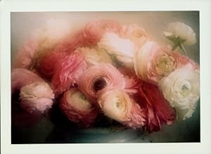 Ansichtskarte / Postkarte Fotograf David Hamilton, Filles Fleurs, Blumen, Ranunkel in Schale