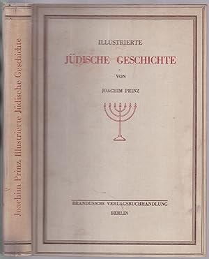 Illustrierte jüdische Geschichte