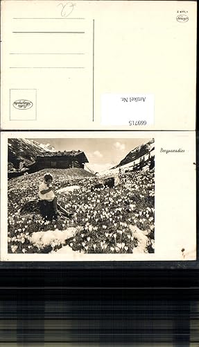 Bild des Verkufers fr 669715,Foto Ak Bergparadies Mdchen Htten Krokus Blumen Alpenflora zum Verkauf von Versandhandel Lehenbauer