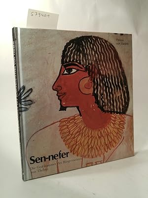 Sen-nefer: Die Grabkammer des Bürgermeisters von Theben.