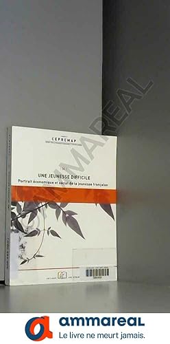 Bild des Verkufers fr Une jeunesse difficile : Portrait conomique et social de la jeunesse franaise zum Verkauf von Ammareal