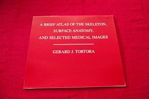 A Brief Atlas Of The Skeleton, Surface Anatomy, and Selected Medical Images