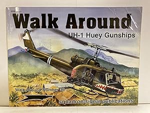 UH-1 Huey Gunships - Walk Around No. 36