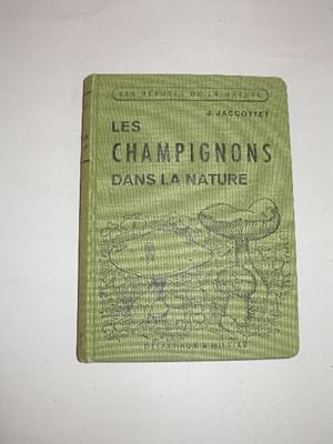 LES CHAMPIGNONS DANS LA NATURE