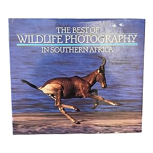 THE BEST OF WILDLIFE PHOTOGRAPHY IN SOUTHERN AFRICA.