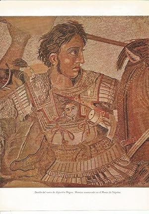 Seller image for LAMINA HISTORIA 26218: Mosaico con la imagen de Alejandro Magno for sale by EL BOLETIN