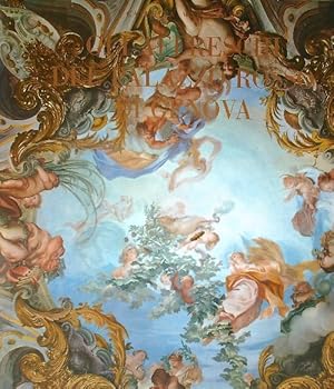 Bild des Verkufers fr Gli affreschi del Palazzo Rosso di Genova. zum Verkauf von Librodifaccia