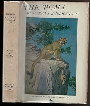 Seller image for THE PUMA Mysterious American Cat for sale by Circle City Books