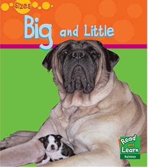 Imagen del vendedor de Big and Little (Sizes) a la venta por WeBuyBooks