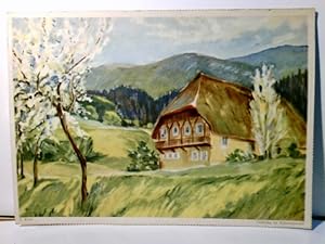 Werbekarte v. Eduscho Kaffe. F. Kück : Frühling im Schwarzwald. Alte Ansichtskarte / Postkarte / ...