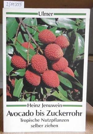 Imagen del vendedor de Von Avocado bis Zuckerrohr. Tropische Nutzpflanzen selber ziehen. a la venta por Versandantiquariat Trffelschwein