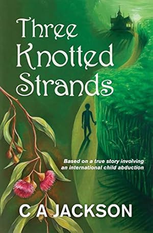 Bild des Verkufers fr Three Knotted Strands: Based on a true story involving an international child abduction. zum Verkauf von WeBuyBooks