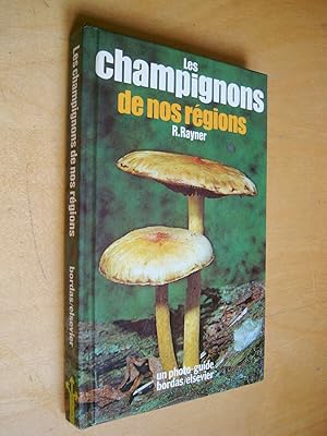 Les champignons de nos régions