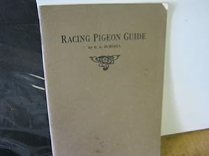 Racing Pigeon Guide For Beginners