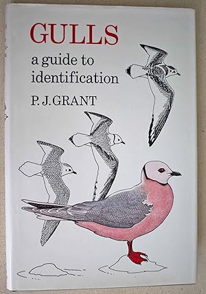 Bild des Verkufers fr Gulls A guide to identification. First edition zum Verkauf von Ariadne Books, PBFA