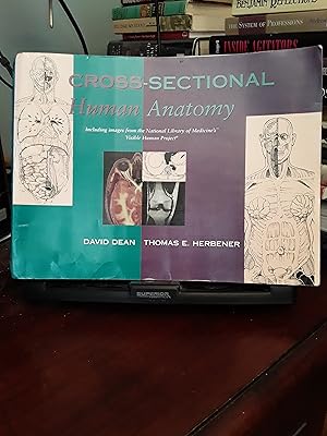 Cross-Sectional Human Anatomy