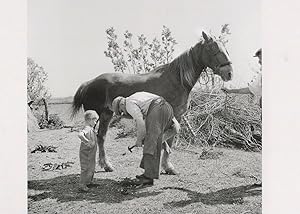 Teaching Shoeing A Horse Circa WW2 Award Photo Postcard