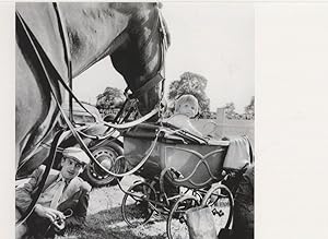 1950s Horse Baby & Pram & Worried Father Award Photo Postcard
