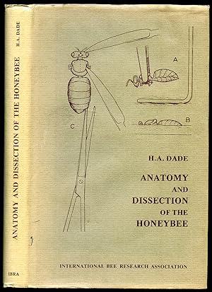 Bild des Verkufers fr Anatomy and Dissection of the Honeybee (Honey Bee) zum Verkauf von Little Stour Books PBFA Member