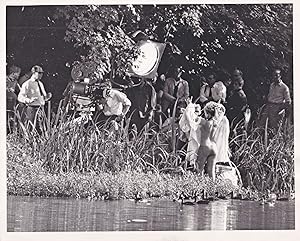 Image du vendeur pour The Amorous Adventures of Moll Flanders (Original photograph of Kim Novak on the set of the 1965 British film) mis en vente par Royal Books, Inc., ABAA