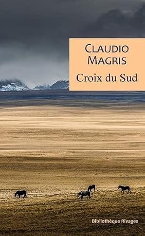 croix du sud : trois vies vraies et improbables