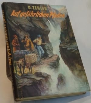 Imagen del vendedor de Auf gefahrlichen Pfaden a la venta por R Bryan Old Books