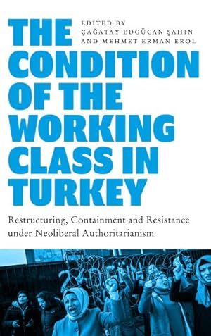 Imagen del vendedor de Condition of the Working Class in Turkey : Labour Under Neoliberal Authoritarianism a la venta por GreatBookPricesUK