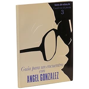 Guía para un encuentro con Angel Gonzalez